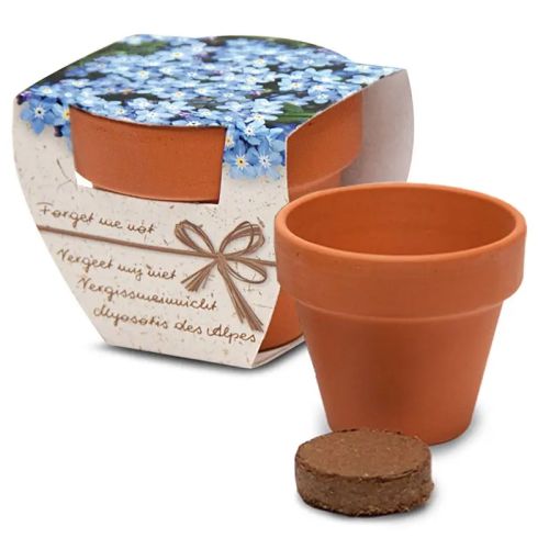 Flower in pot - Image 5